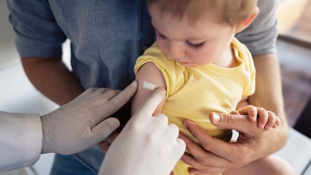 Monoclonal antibodies function similarly to antibodies that are made by the immune system—they attach to a virus, helping the immune system recognize and destroy that virus.