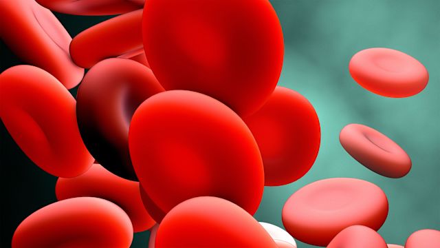 Red blood cells