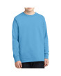 Port & Company Youth Long Sleeve 5.4-oz 100% Cotton T-Shirt (Apparel)