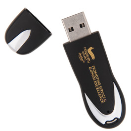 1GB Printed Flash Drive