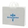 Personalized Frosted Soft Loop Handle Bags