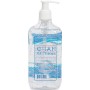 10.2 oz. Hand Sanitizer With Pump