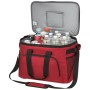 Tailgate Mate Cooler Bag