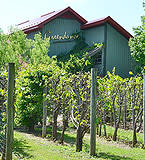 Greendance - The Winery at Sand Hill greendance-winery-at-sand-hill