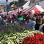 Mount Pleasant Glass & Ethnic Festival