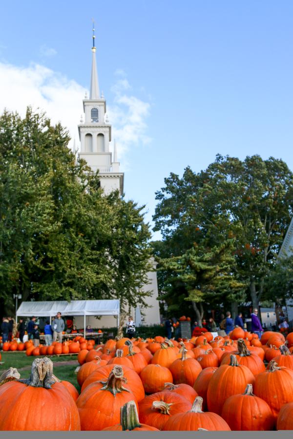 Things To Do in Fall in Newport RI Discover Newport, Rhode Island