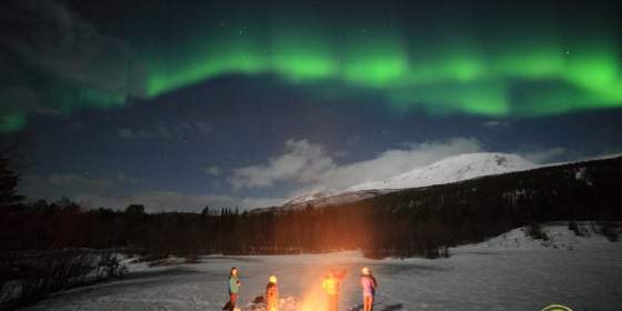Northern Lights Tours - Enjoy the Arctic