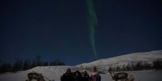 Reindeer Sledding and Northern Lights - Tromsø Lapland