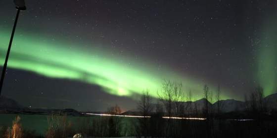 Snowmobile and Aurora - Tour in Lyngenalps