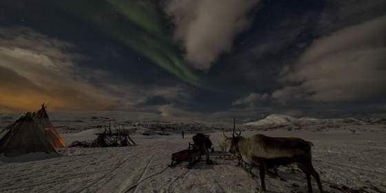 Northern Lights and Reindeer – Sami Adventure