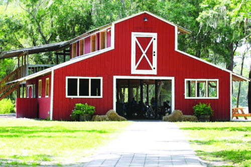 Old McMicky's Farm Summer Birthday Savings
