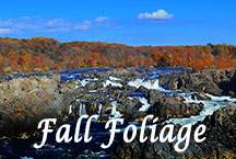 Burke Lake Park - fall