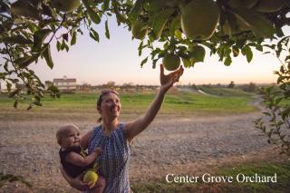 Center Grove Orchard
