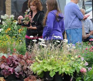 Farmers Markets