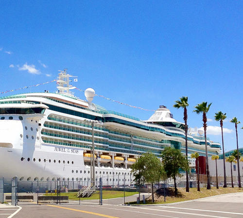 14 day cruise from tampa