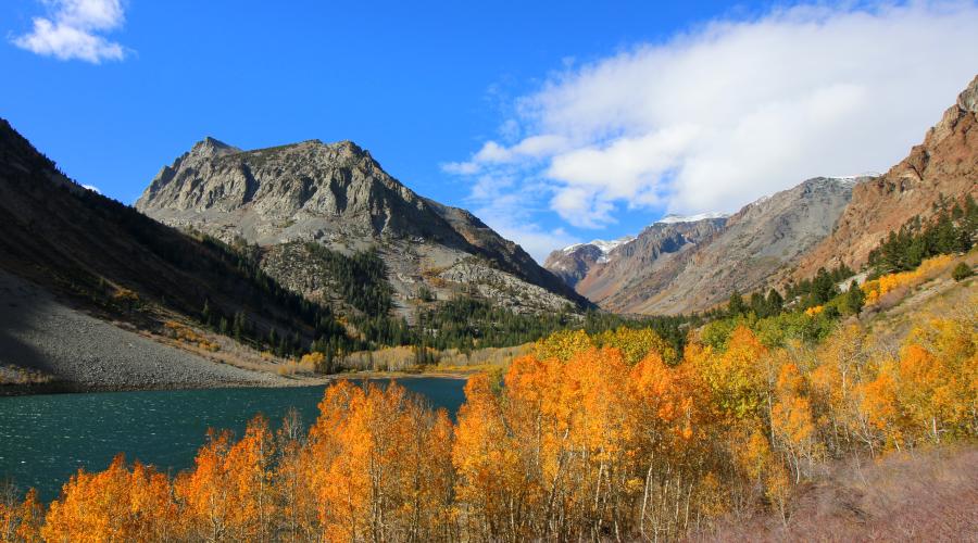 Fall Colors in Mono County - Mono County Tourism and Film Commission