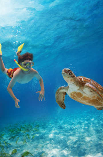Activities Amp Things To Do With Kids In Fort Lauderdale