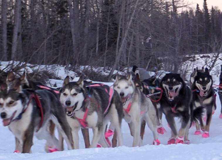 Winter Events