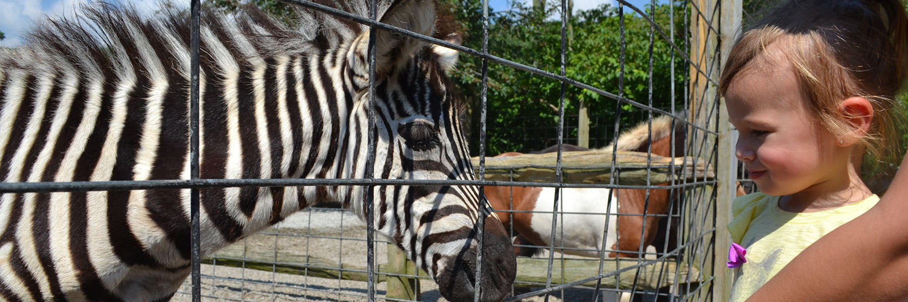 Animal Parks