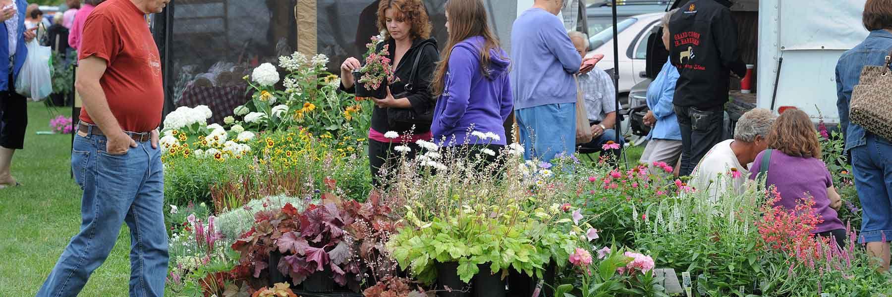 Farmers Markets