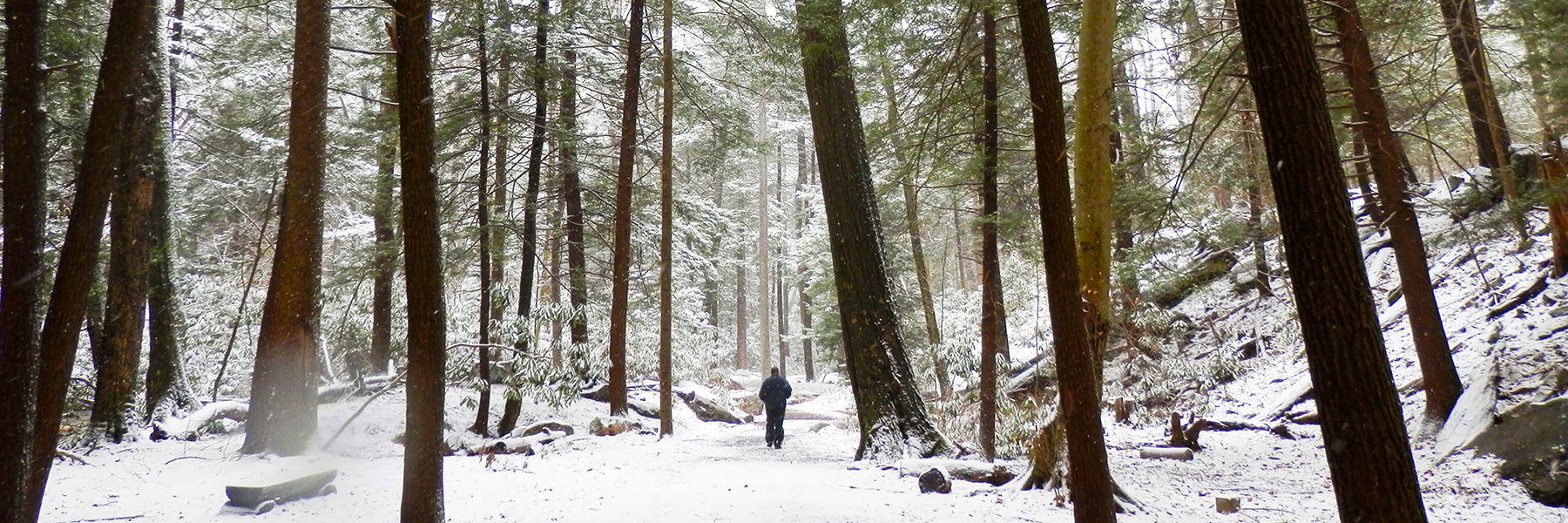 Cross County Skiing and Showshoeing