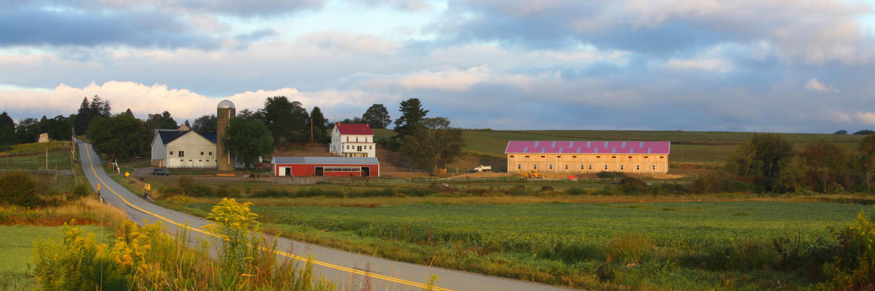Horizon View Farms