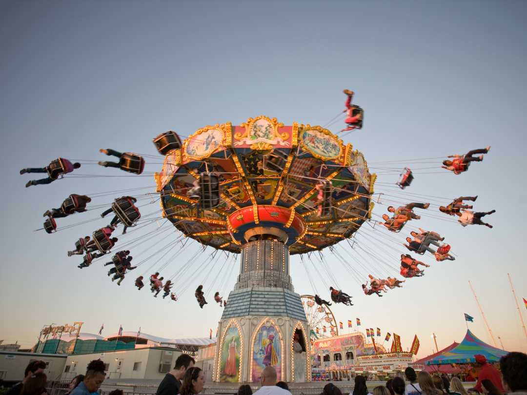 Florida's Most Peer Pressure