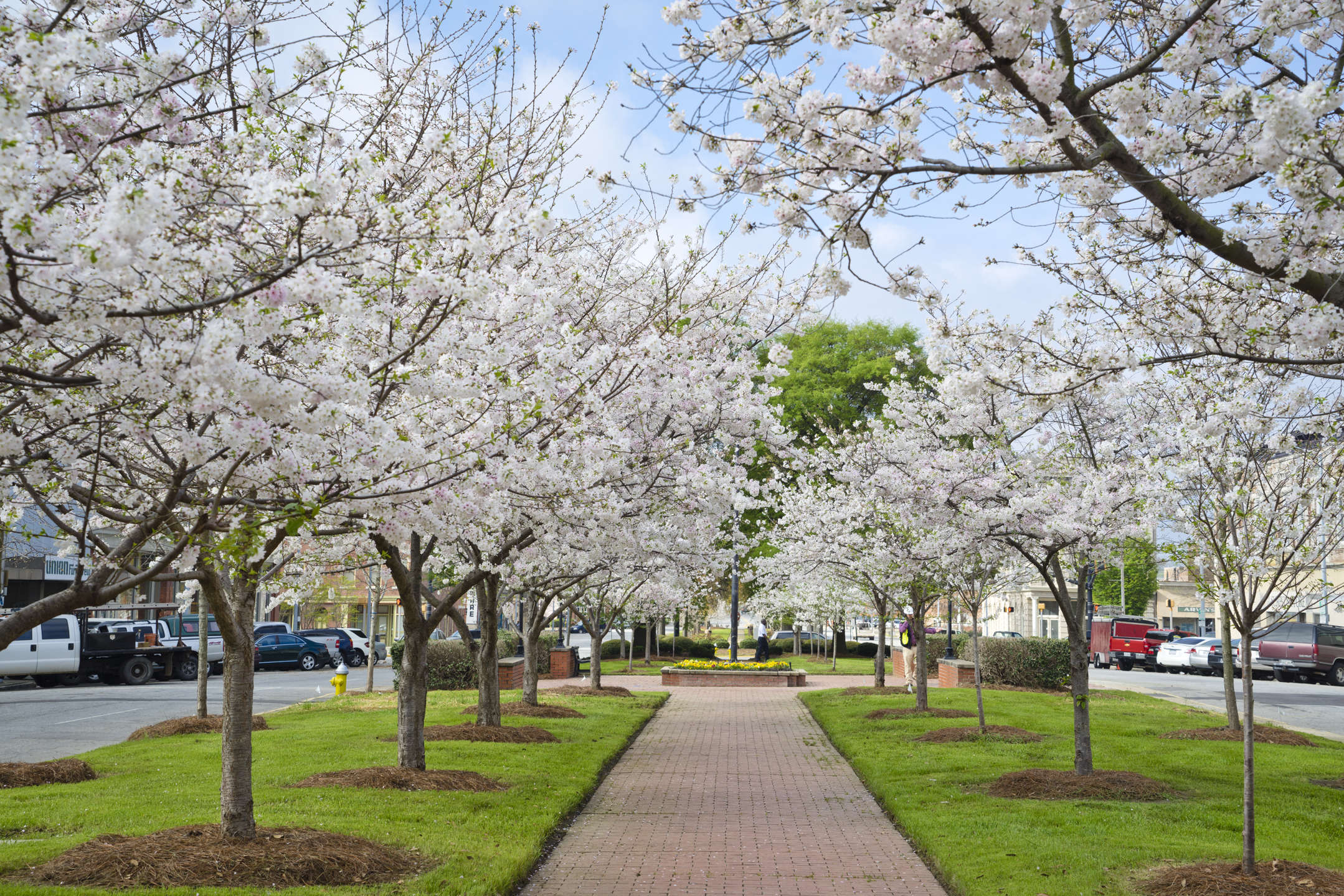 Job Seekers Part Time jobs hiring in Macon, GA. Browse Part Time jobs and apply online. Search Part Time to find your next Part Time job in Macon.