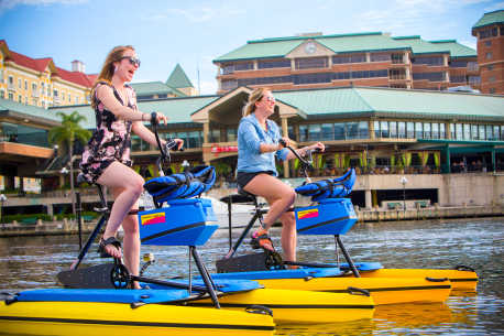 Tampa Tourism, Travel Agents and Professionals  Visit Tampa Bay