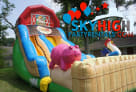 Farm Themed Kids Slide