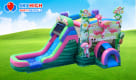 Flamingo Bouncer Combo Rental