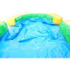 Palm Tree Water Slide Pool