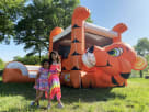 Tiger Bounce House For Rent