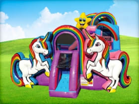 Unicorn Playzone w/ Wet or Dry Slide