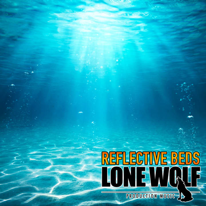 Moment Of Reflection