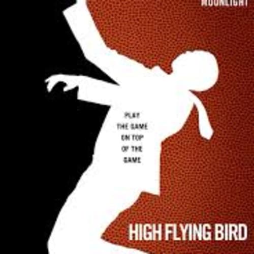 HIGH FLYING BIRD