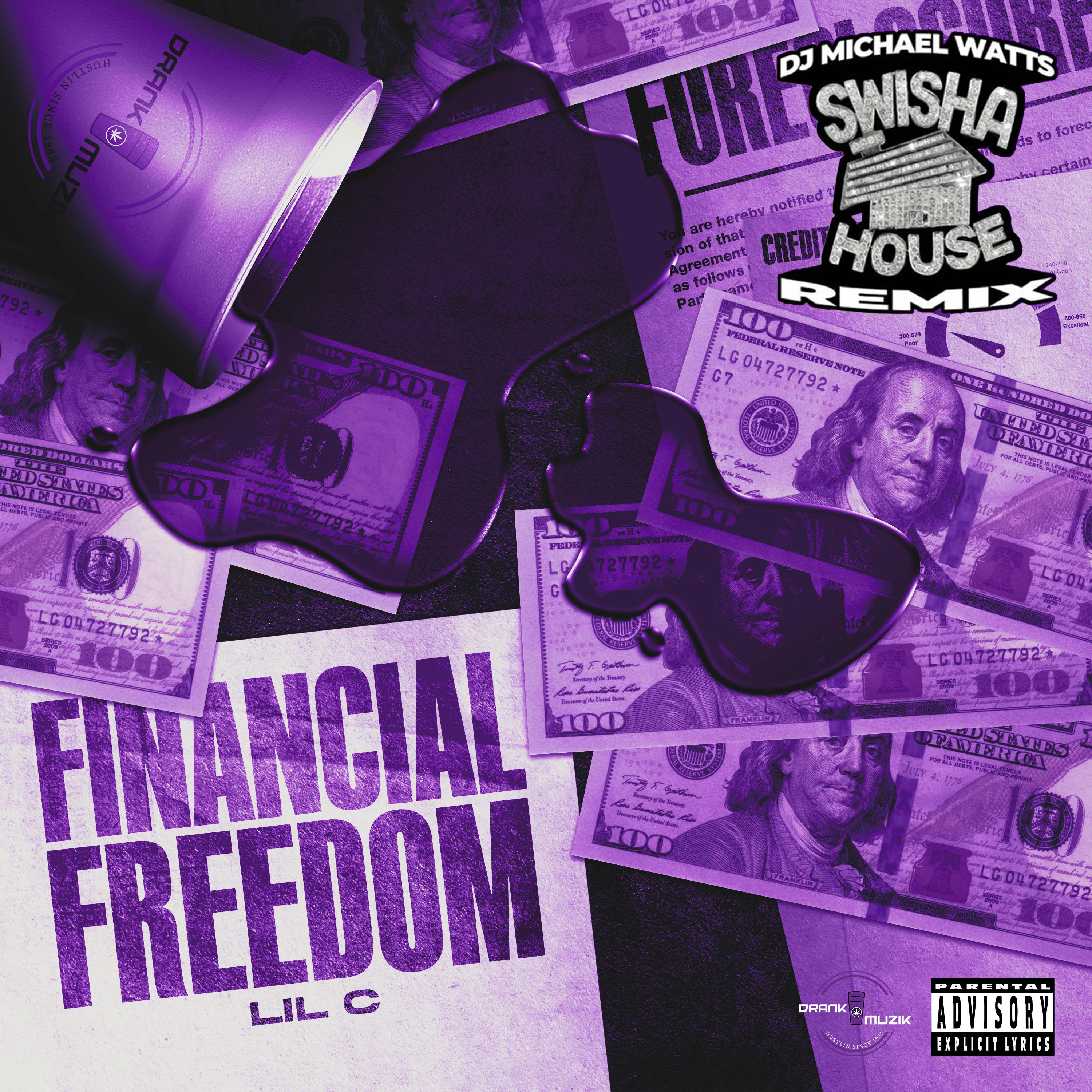 Drankin Ninja Turtle (Swishahouse Remix)