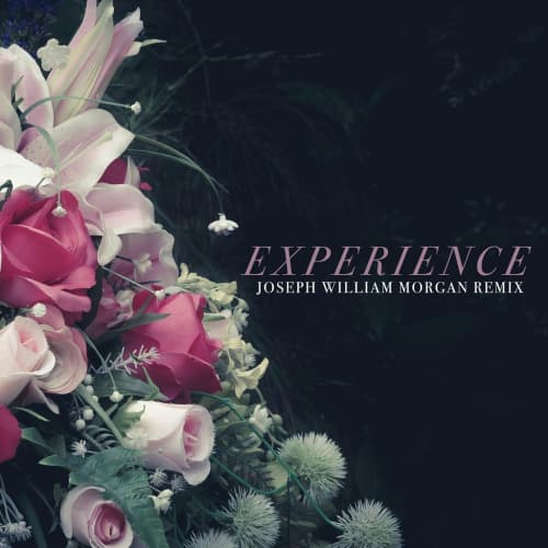 Experience (Joseph William Morgan Remix) (Instrumental)