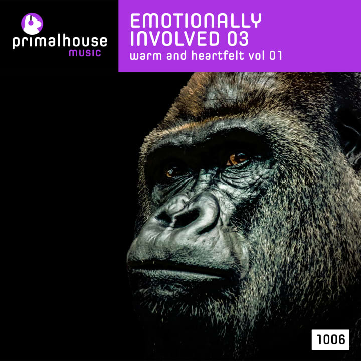 Emotionally Involved 03 Warm And Heartfelt