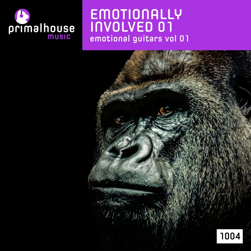 Emotionally Involved 02 Emotional Guitars Vol 02