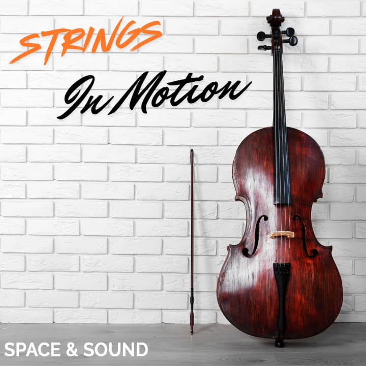 Strings In Motion