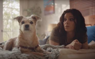 #AdoptPureLove &#8211; Shelter Pet Project &#8211; Rachel Bloom