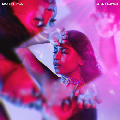 Wild Flower