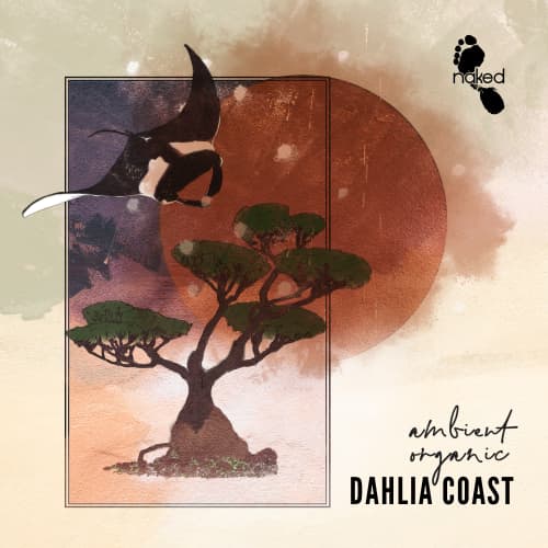Dahlia Coast - Ambient Organic