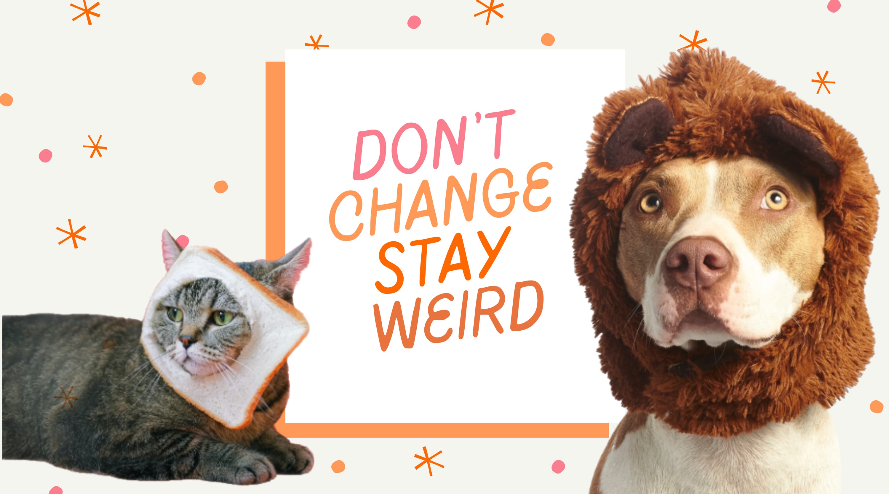 Stay Weird