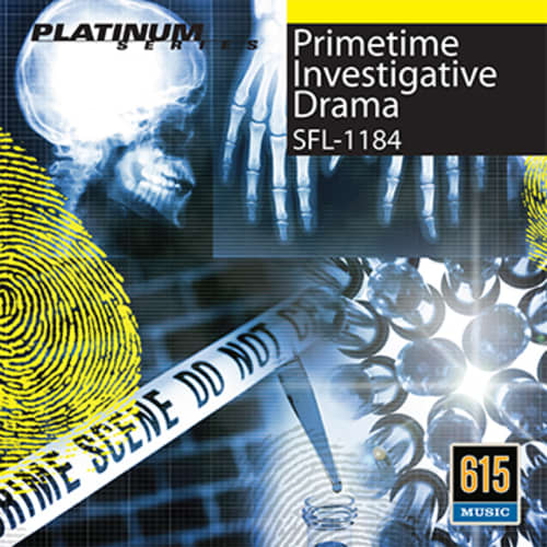 Primetime Investigative Drama