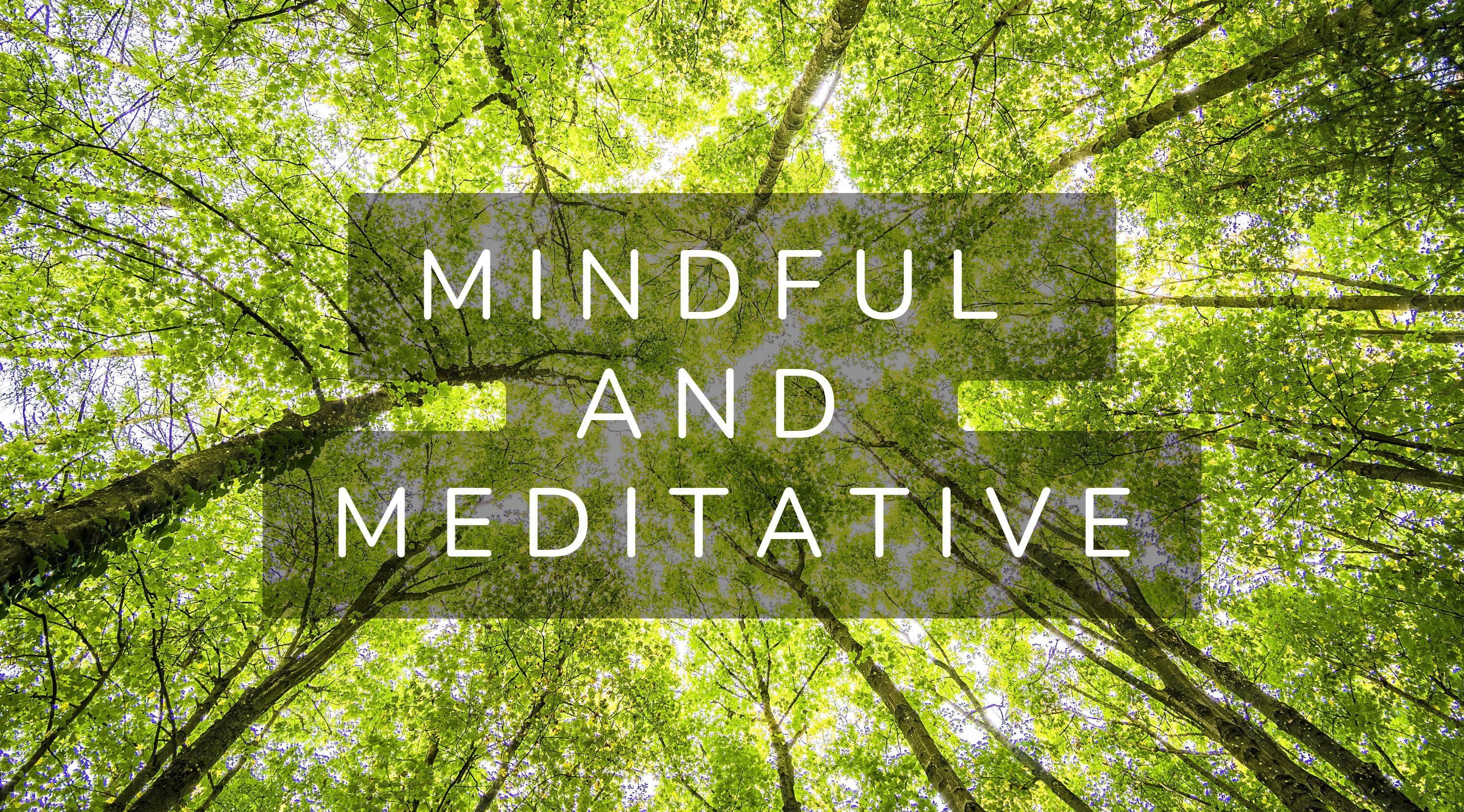 Mindful and Meditative