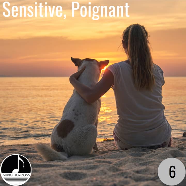 Sensitive, Poignant 06