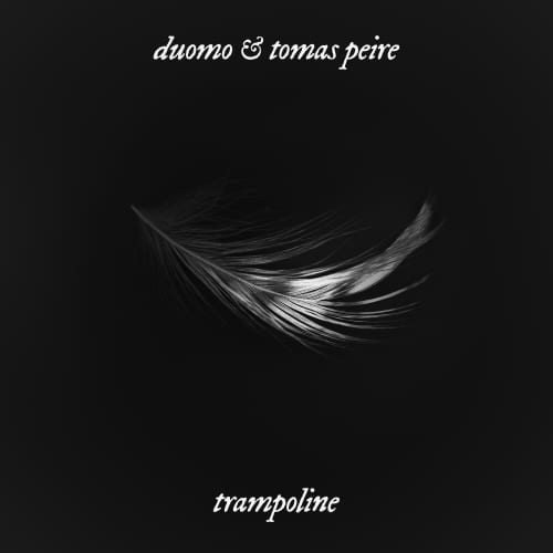 Trampoline (SHAED Cover) - Single