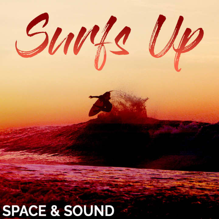 Sas Investigating Surf Crime